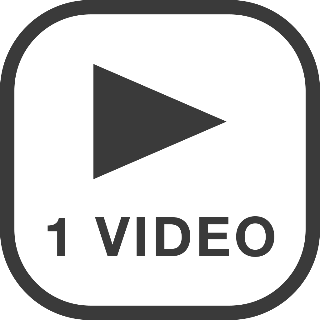 PlayOneVideo logo
